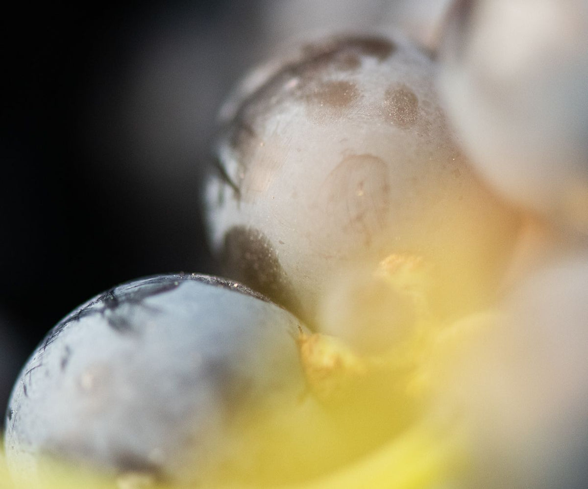 Qu’est-ce qui rend la peau sèche ?