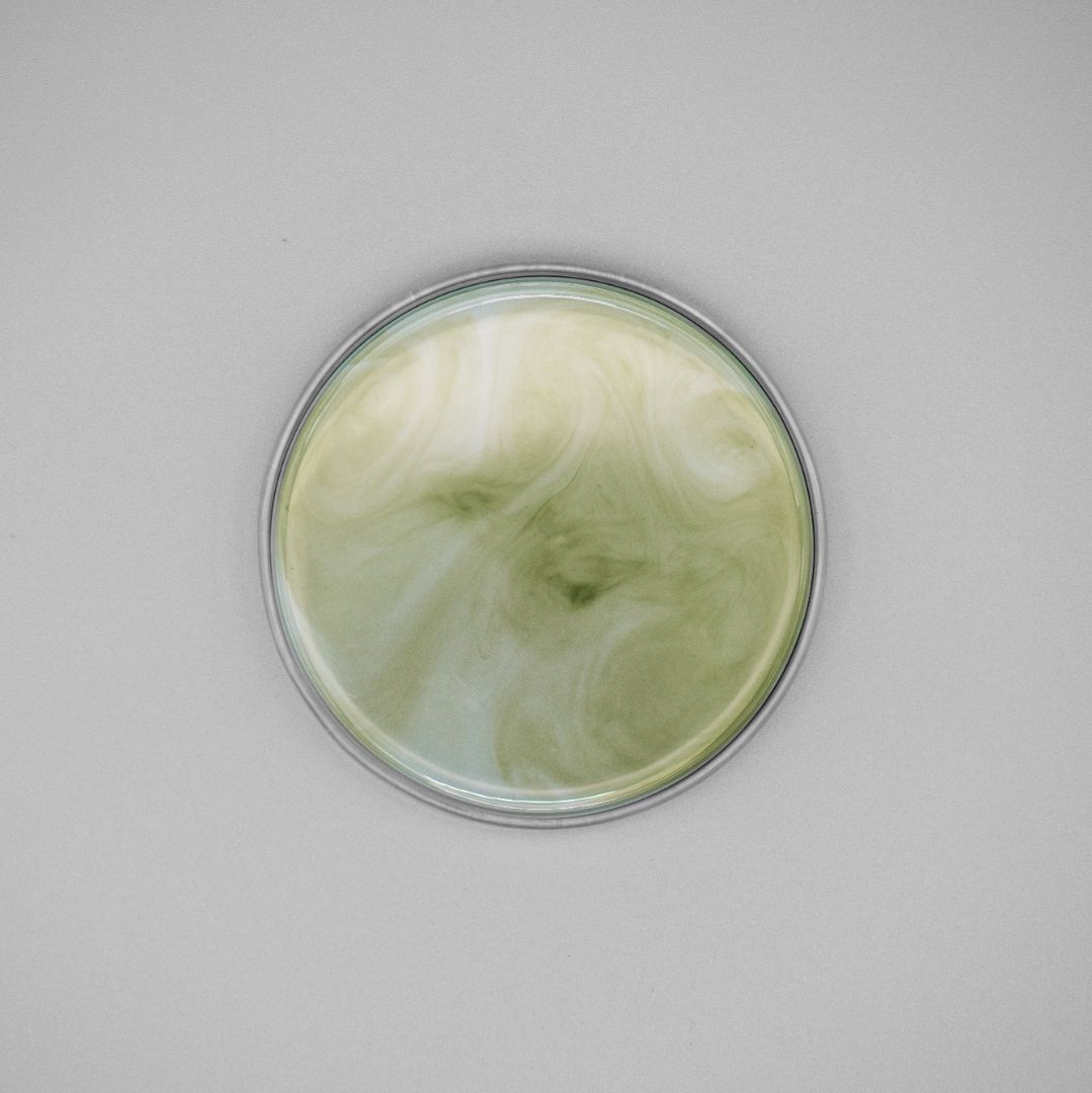 Cellules sœurs de fleur de vigne: la biotechnologie au service de l'anti-âge naturel