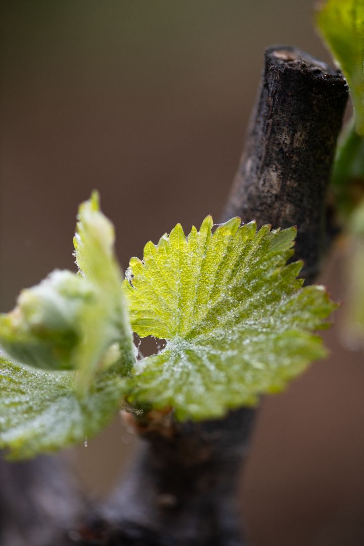 Quelle routine d’hiver adopter ?