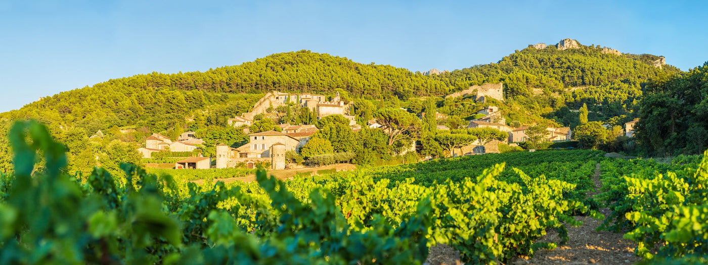 Soins visage de luxe inspirés de la vigne: quand le terroir provençal rencontre l'innovation scientifique