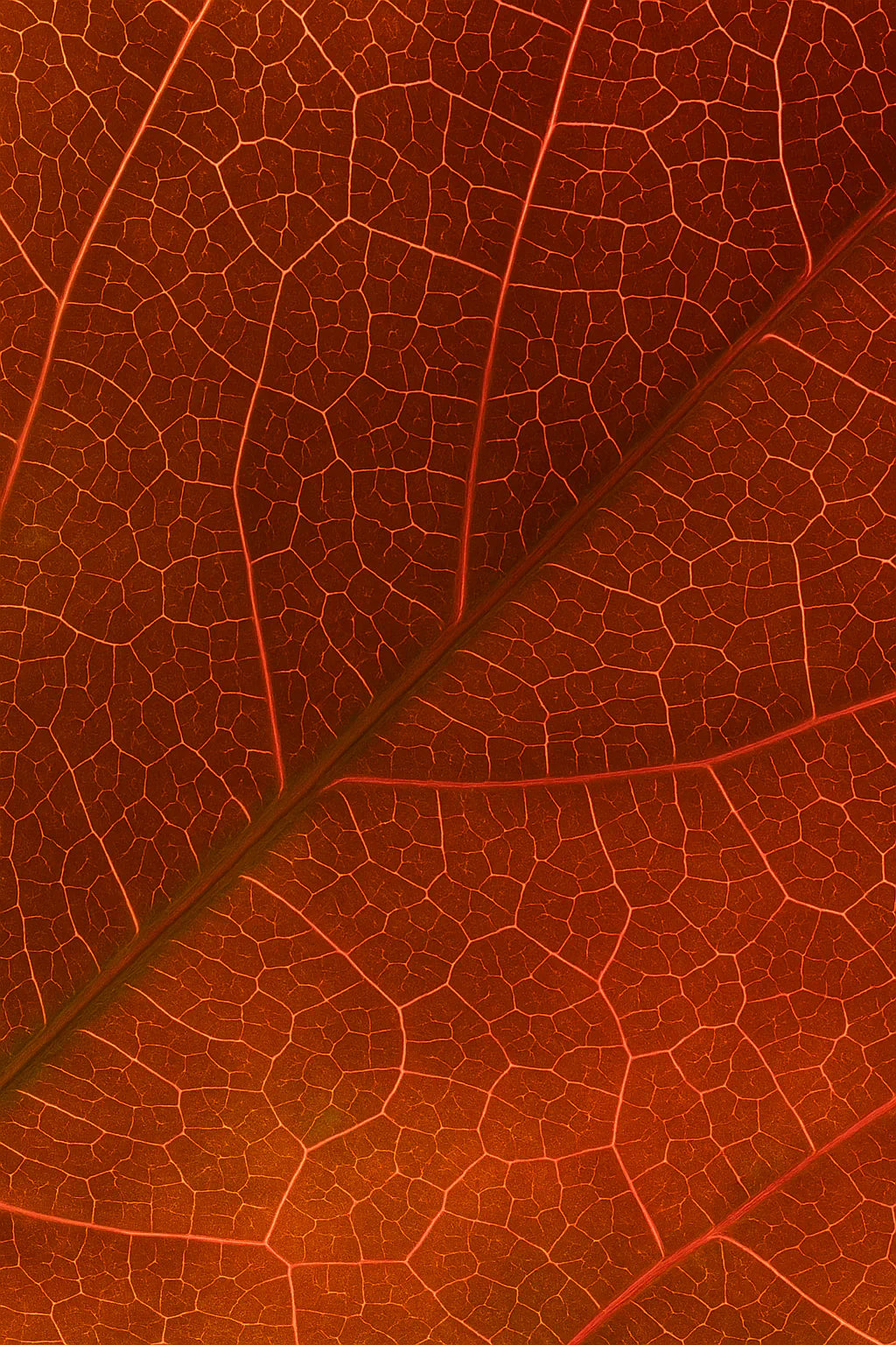 Comprendre et prendre soin de sa peau sèche