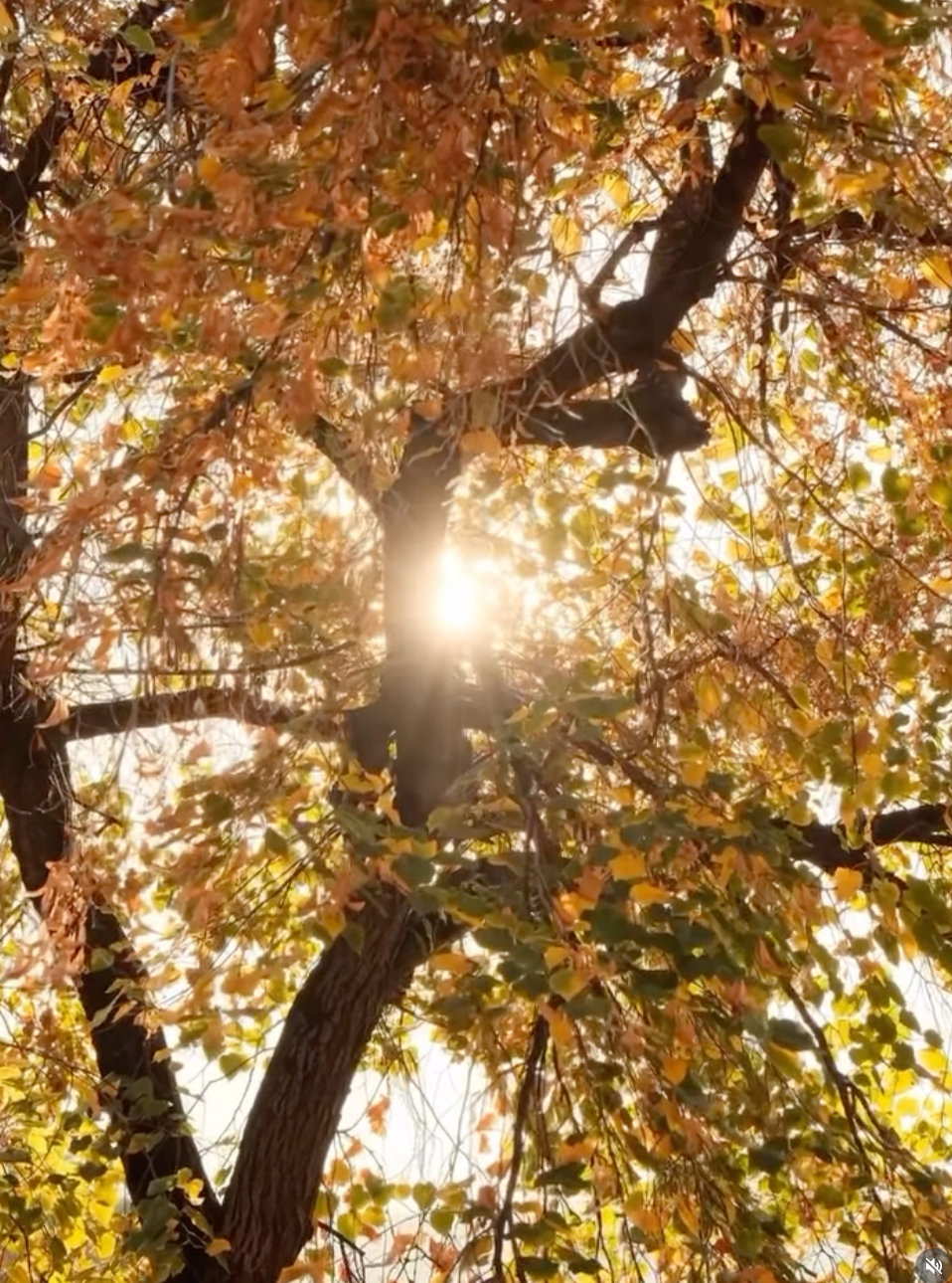 Beau Domaine Skincare by Brad Pitt & Famille Perrin