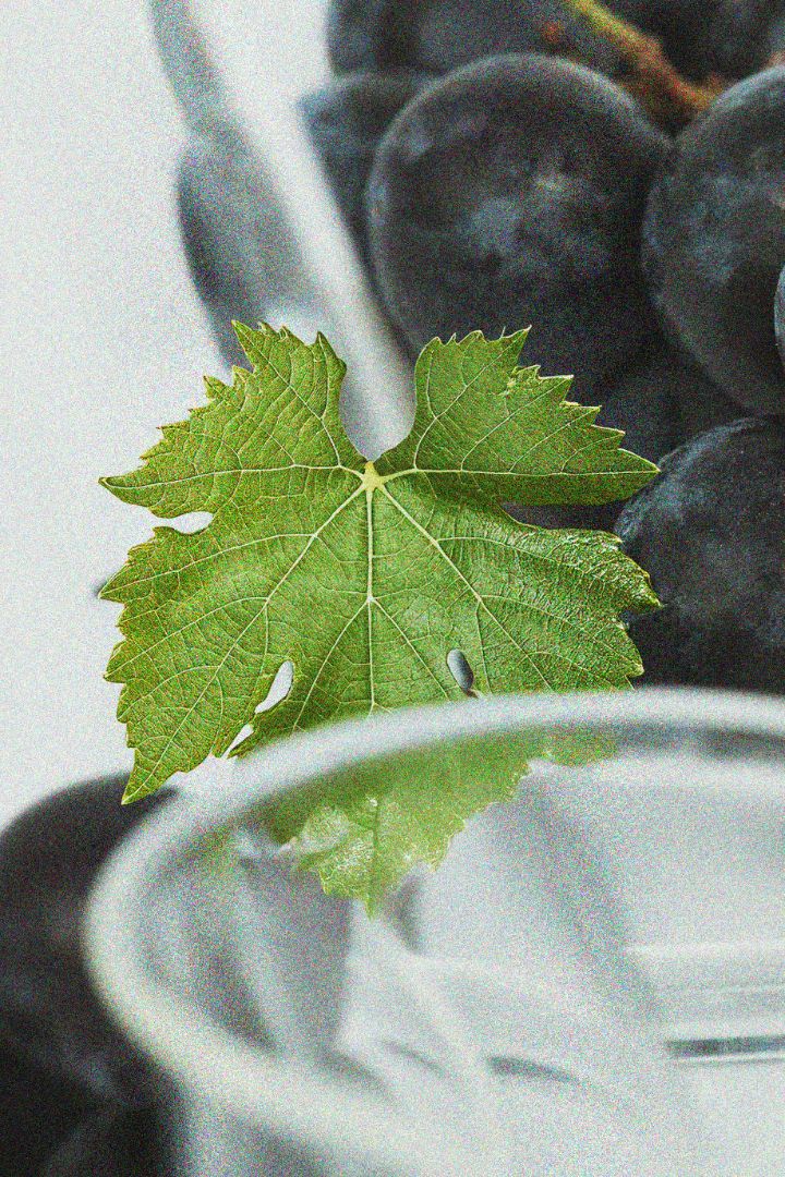 Beau Domaine Skincare by Brad Pitt & Famille Perrin