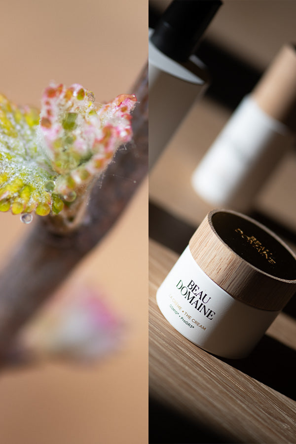 Beau Domaine Skincare by Brad Pitt & Famille Perrin